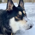 Sarah Guyton Moore - @sarah.g.moore.1 - Instagram