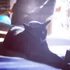Sara Guzzetti792 - @la.zia.iaia - TikTok