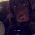 Sarah Hackworth - @hack.sarah - Instagram