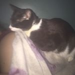 Sarah Haddon - @sarahhaddon.93 - Instagram