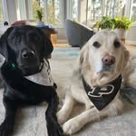 Sarah Haddon - @haddonsk - Instagram
