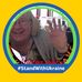 Sarah Hailey - Facebook