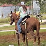 Sarah Hardee - @barrels_polebending - Instagram