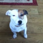 Sarah Harkin - @seh.2233 - Instagram