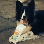 Sarah Harney - @sarahharney - Instagram