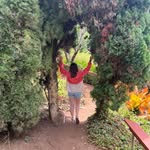 Sarah Harney - @sarah_824 - Instagram