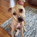Sarah Jones-Haroldson - @sar_sar_79 - Instagram
