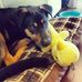 Sarah Haste - Facebook