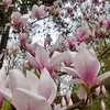Sarah Henrich - @sarahhenrich72 - TikTok