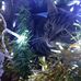 Sarah Hibbert - Facebook