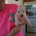Sarah Hillhouse - Facebook