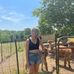 Sarah Hock - Facebook