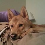 Sarah Elizabeth Hockaday - @harleenquinzel0322 - Instagram