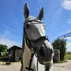 Sarah Hoefer420 - @sarahhoefer420 - TikTok