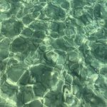 sarah.hoefert - @sarah.hoefert08 - Instagram