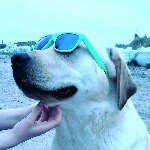 Sarah Hoey - @hoeys_music_style - Instagram