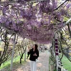 Sarah Hou - Facebook