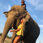 Sarah Houcke - @sarah_houcke - Instagram