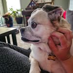 Sarah Houts - @shouts11 - Instagram