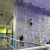 Sarah Houts - @sarah.houts - TikTok