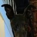 Sarah Howes - Facebook