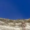 sarah.howie - @sarah.howie - TikTok