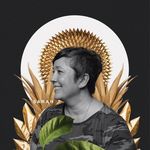 sarah hsia hall - @hsialalala - Instagram