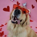 Sarah Hubert - @mackthegolden15 - Instagram