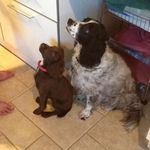 Sarah Hulbert - @sidgehulbert - Instagram