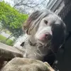 Sarah Hulse - @sarah.hulse0427 - TikTok