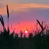 Sarah Ibanez - @user5739262953988 - TikTok