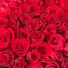 sarahinda - @sarahinda4 - TikTok