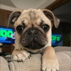 Sarah Iverson - Facebook