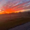 Sarah Iverson - @sarahiverson1 - TikTok