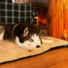 sarahs.junk.journaling - @sarahs.junk.journaling - TikTok