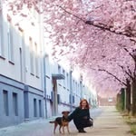 Sarah - @sarah_just_loves_music - Instagram