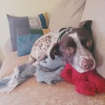 Sarah Kellner - @wyndlethevoidbringer583 - Instagram