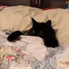 sarah - @sarah_kibble - TikTok