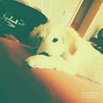 Sarah Kick - @sarahkick2006 - Instagram