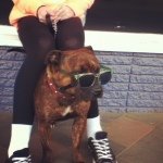 Sarah Kile - @mycutepets13 - Instagram