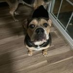 Sarah Kiley - @preppy.lifee_ - Instagram