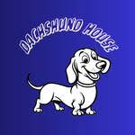 Sarah Kiley - @dachshundhousedad - Instagram