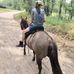 Sarah Killorin - Facebook
