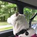 Sarah Kirsch - Facebook