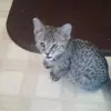 Sarah Kirsch - @sarahkirsch8 - TikTok