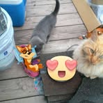 Sara Kishbaugh - Facebook