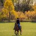 Sarah Kloster - Facebook