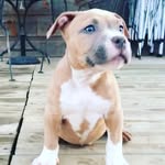 Sarah.K - @sarah.koons01 - Instagram