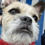 Sarah Korte - @sar_ah_ko_rte - Instagram