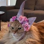 Sarah Korte - @sassi_conniption - Instagram